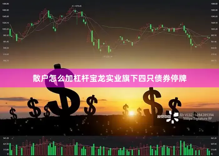 散户怎么加杠杆宝龙实业旗下四只债券停牌