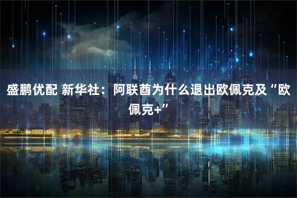 盛鹏优配 新华社：阿联酋为什么退出欧佩克及“欧佩克+”