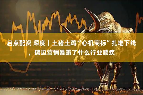 启点配资 深度｜土猪土鸡“心机商标”扎堆下线，擦边营销暴露了什么行业顽疾