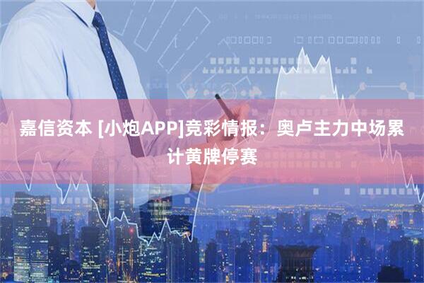 嘉信资本 [小炮APP]竞彩情报：奥卢主力中场累计黄牌停赛