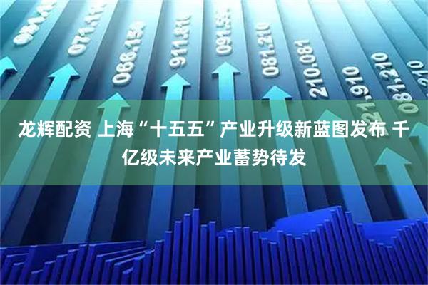 龙辉配资 上海“十五五”产业升级新蓝图发布 千亿级未来产业蓄势待发